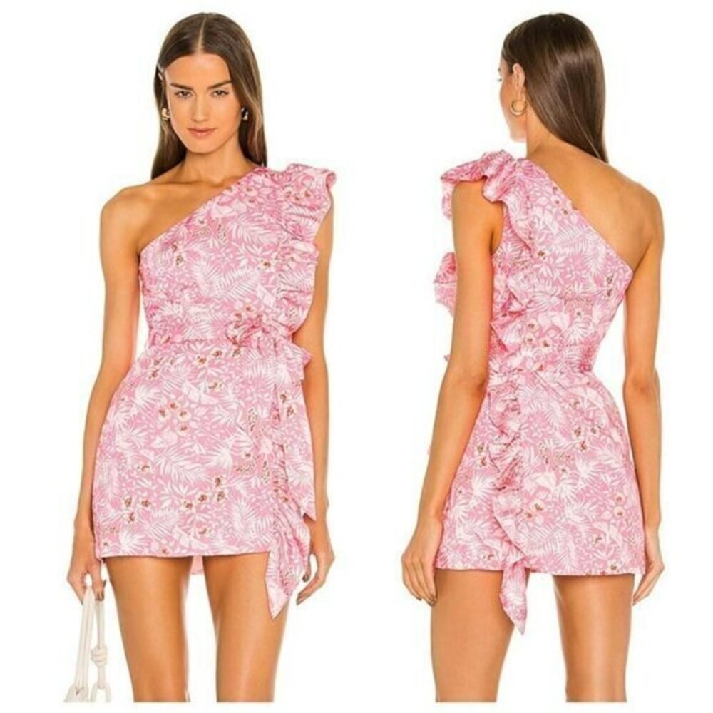 Lovers and Friends Seana Mini Dress - Sienna Tropical